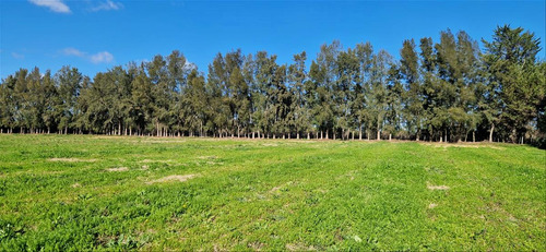 Venta Chacra 28 Ha Abayuba Arroyo Y 2 Tajamares C.rigel