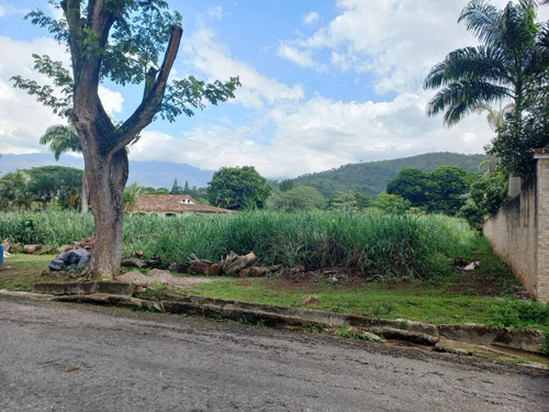 Imagen 7 de 14 de Venta De Terreno En El Solar Colinas De Guataparo Cod.147738