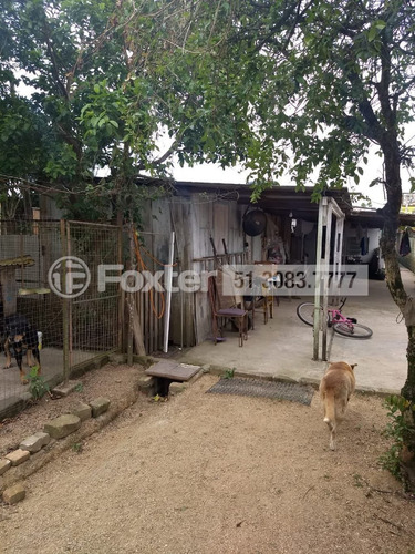 Imagem 16 de 17 de Fazenda / Sítio / Chácara, 2 Dormitórios, 150 M², São Tomé - 202468