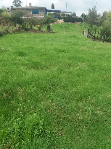 Lote Tabio Rio Frío Occidental Excelente Vista Al Dia