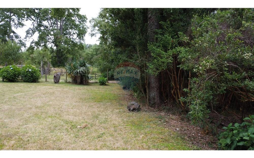 House, Cabin And Pool On A 5,923 M² Plot