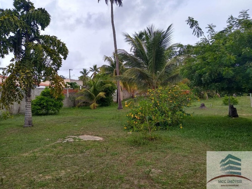 Granja A Venda Em Tibau Do Sul