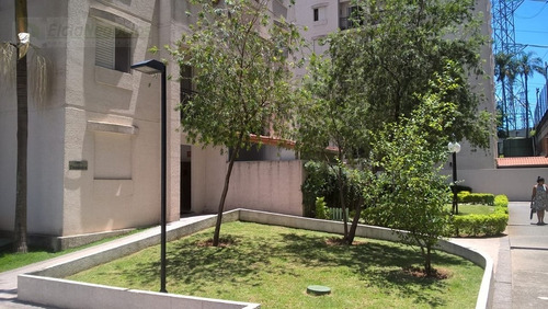 Imagem 12 de 25 de Apartamento Para Venda, 2 Dormitórios, Jardim Íris - São Paulo - 2346