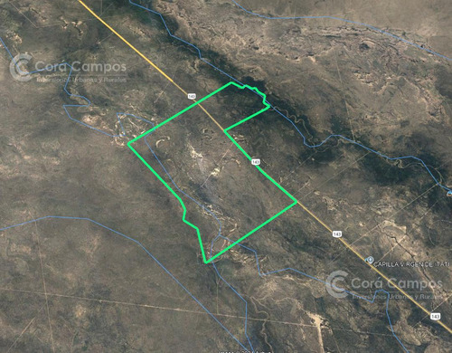 Se Vende Campo Ganadero De 3500 Ha En Mendoza, Argentina