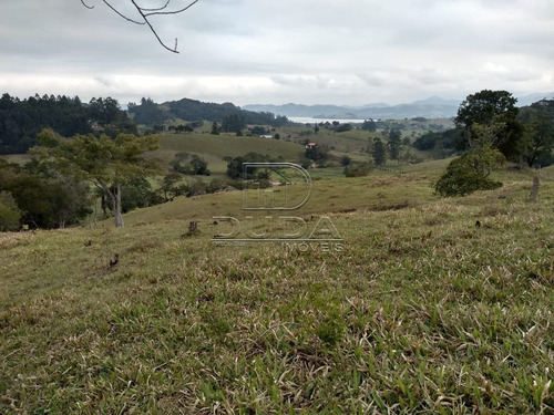 Imagem 3 de 15 de Sitio - Fazenda Rio Das Garcas - Ref: 32161 - V-32158