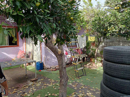 Terreno Con Casa Para Remodelar