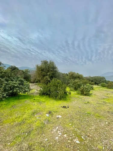 Parcela En Los Altos De Olmué