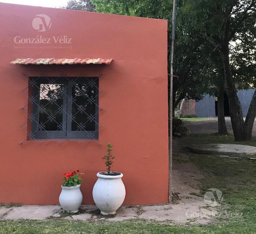 Imagen 9 de 18 de Chacra - Carmelo