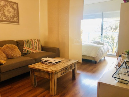 Imagen 5 de 12 de Venta Con Renta De Monoambiente En Marina De Ellauri Ii