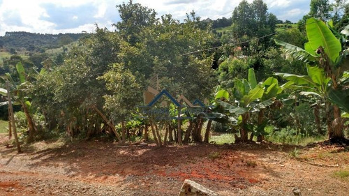 Imagem 8 de 15 de Área No Centro De Caucaia. Oportunidade Para Investir! - 202