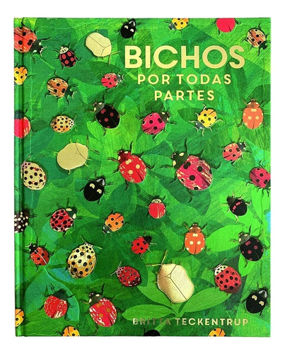 Bichos Por Todas Partes  - Lily Murray