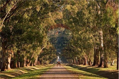 Venta Lote. Estancia Villa Maria