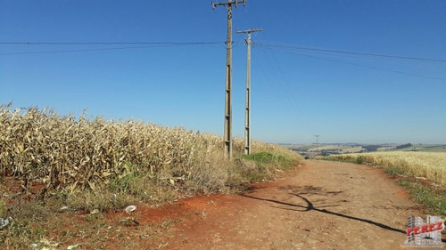 Imagem 9 de 30 de Chácaras_sítios_fazendas Para Venda - 13650.3266