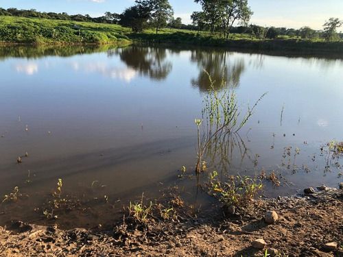 Imagem 6 de 25 de Linda Fazenda Na Bahia!!!!!