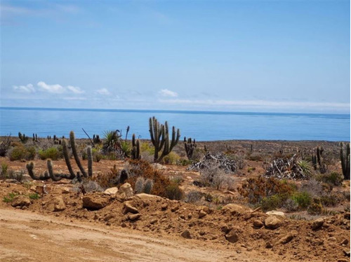 Disfruta De Tu Parcela A Pasos Del Mar Tranquilidad Máxima