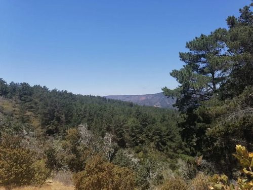 Parcela De Agrado, Km 4 1/2, Vista Al Mar, Laguna Verde