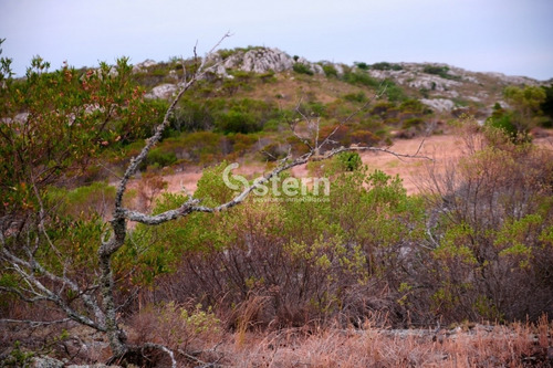 Imagen 9 de 30 de Venta Chacra, Paso Dutra, Maldonado.