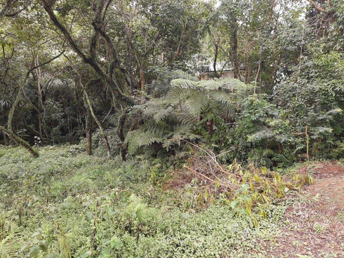 Imagem 6 de 8 de Terreno À Venda, 420 M² Por R$ 350.000,00 - Granja Viana - Carapicuíba/sp - Te0533