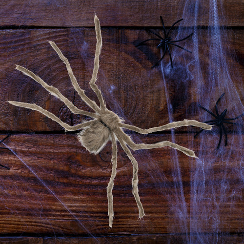 Araña De Peluche De Simulación, Arañas Realistas, Bromas, Mo