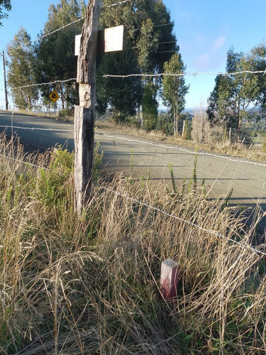 Parcela En Fresia, Llico, Sector Las Cuyas