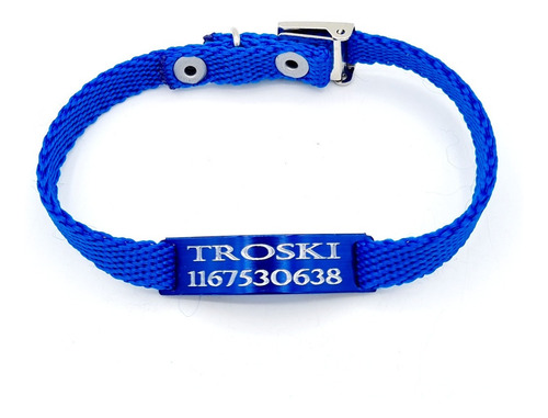 Chapita Gato Pasador Azul + Collar 1 Cm Reforzado Azul 