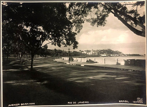 Antigua Fotografia C. Bippus - Gel. De Plata - 1920-8-