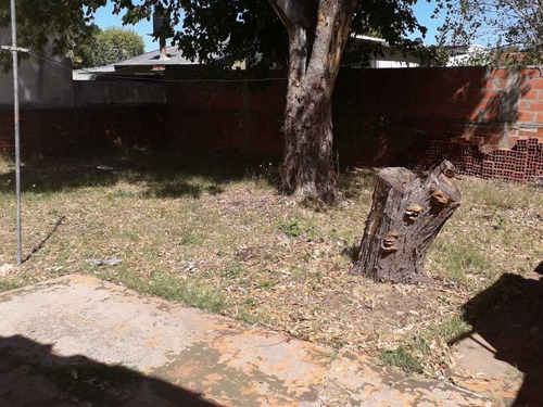 Imagen 13 de 17 de Vendo Casa 3 Ambientes En Amplio Lote Sobre Av 79 A 4 Cuadras De Playa