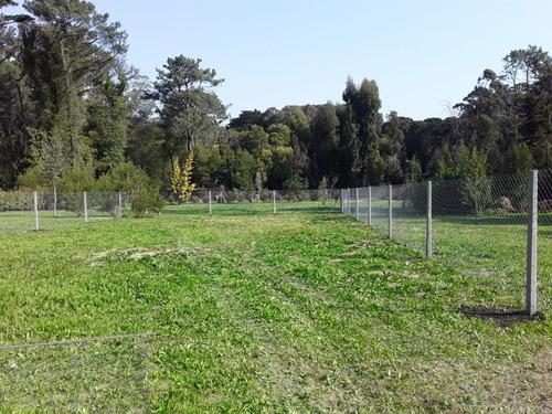 Alambrados Miramar Alamtex - Venta De Cercos Terminados