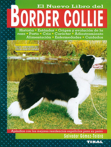 Border Collie - Gómez-toldr, Salvador