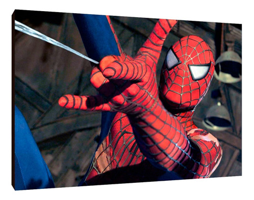 Cuadros Poster Superheroes Spider Man S 15x20 (dmn (2))