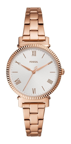 Reloj  Mujerfossil Daisy 3 Hand Acero