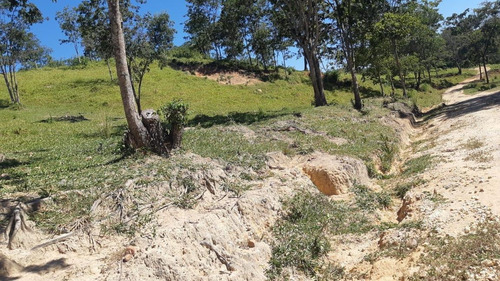 Imagem 13 de 15 de Fazenda Para Venda Em Esmeraldas, Andiroba, 3 Dormitórios, 1 Suíte - F15_1-1536597