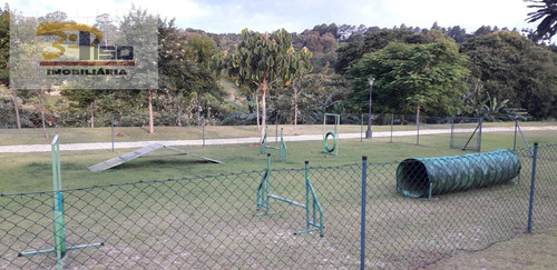Imagem 11 de 15 de Lote / Terreno Em Estrada Nova - Pinhalzinho - 1319