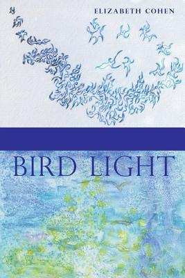Libro Bird Light - Cohen, Elizabeth