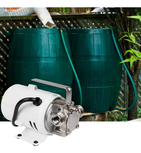 Bomba Utilitaria De Laton Chapado 360 Gph Color Blanco