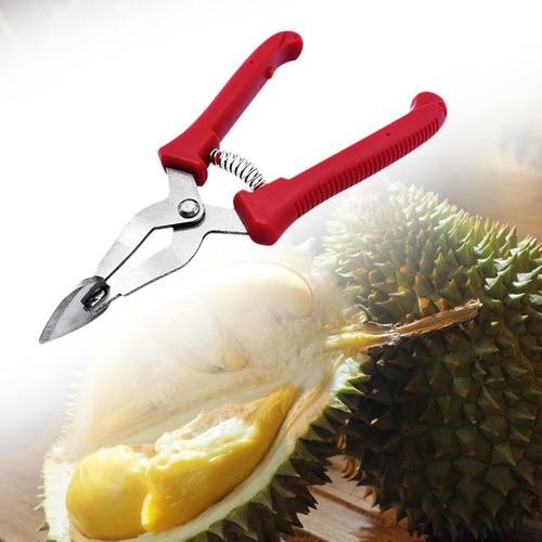 Abridor De Durian, Pinza For Pelar, Fácil De Abrir, Pinza