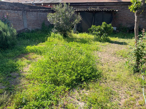 Casa En Venta De 3 Dorm. En Curicó