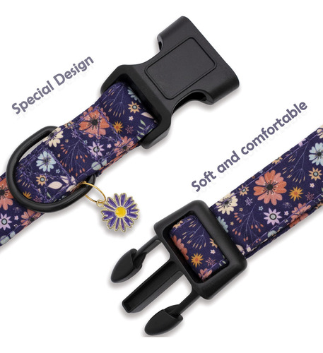 Collar De Perro De Color Morado Con Diseño De Flores