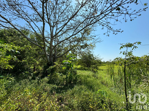 Venta Terreno 0 Ambiente Vicente Guerrero