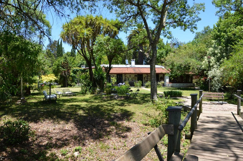 Imagen 2 de 14 de Venta Chacra 7 Hectareas A 40 Km De Mercedes