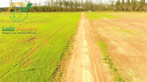 Imagem 10 de 15 de Fazenda À Venda Em Aparecida Do Rio Negro - To -1331 Hec (agricultura) - 1925