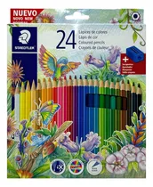 Comprar Lapices De Color Pinturitas Staedtler Largas X 24