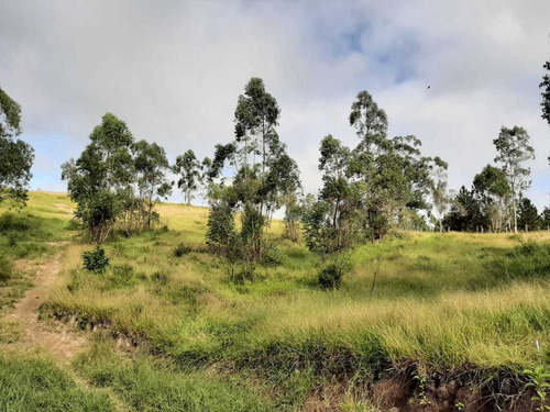 Imagem 5 de 13 de Lotes Com Excelente Topografia De 1000² Em São Roque