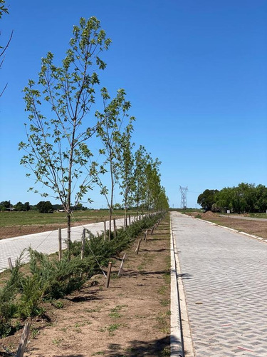 Imagen 5 de 8 de Venta - Lote De 428m2 - Barrio Abierto Residencial - Pueblo Esther