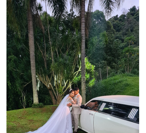 Limousine (Usado)