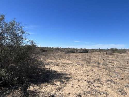 Km 43, El Mezquite De Don Dominguez