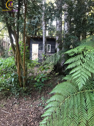 Vende Casa Con Gran Terreno Caburgua Pucón