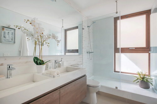 Concepto Living & Arts - Imagina
