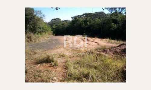 Terreno Em Teresópolis - Vi1060