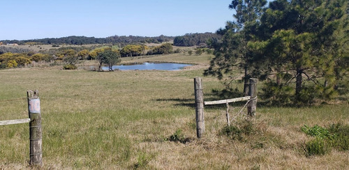 Imagen 4 de 30 de Chacra En Venta, Fraccion De 20 Has En Jose Ignacio (ref: Atm-6766)
